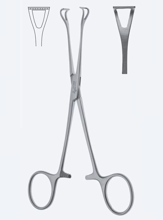 Зажими, хірургічні, "Babcock", для захоплення органів і тканин, прямі, вікончасті, загальна довжина 155 мм, 6 1/8". Бренд - Asanus Medizintechnik Gmb, Німеччина